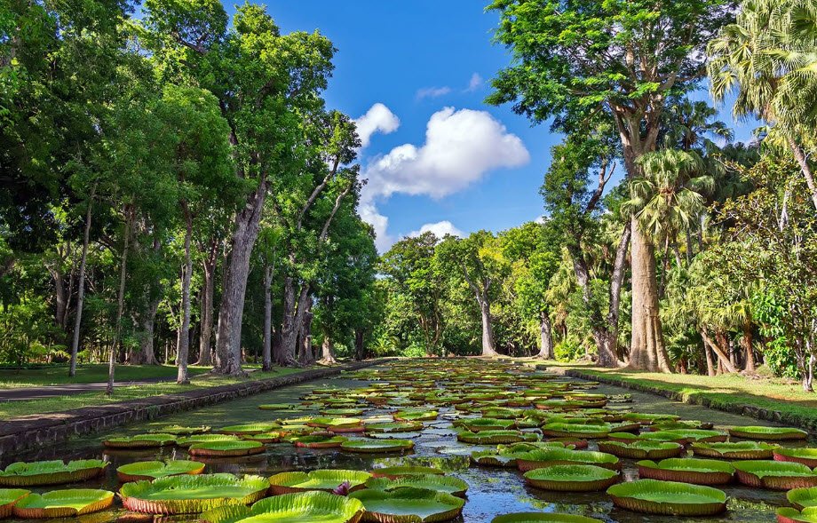 Jindai Botanical Gardens, Chofu, Japan, Japan